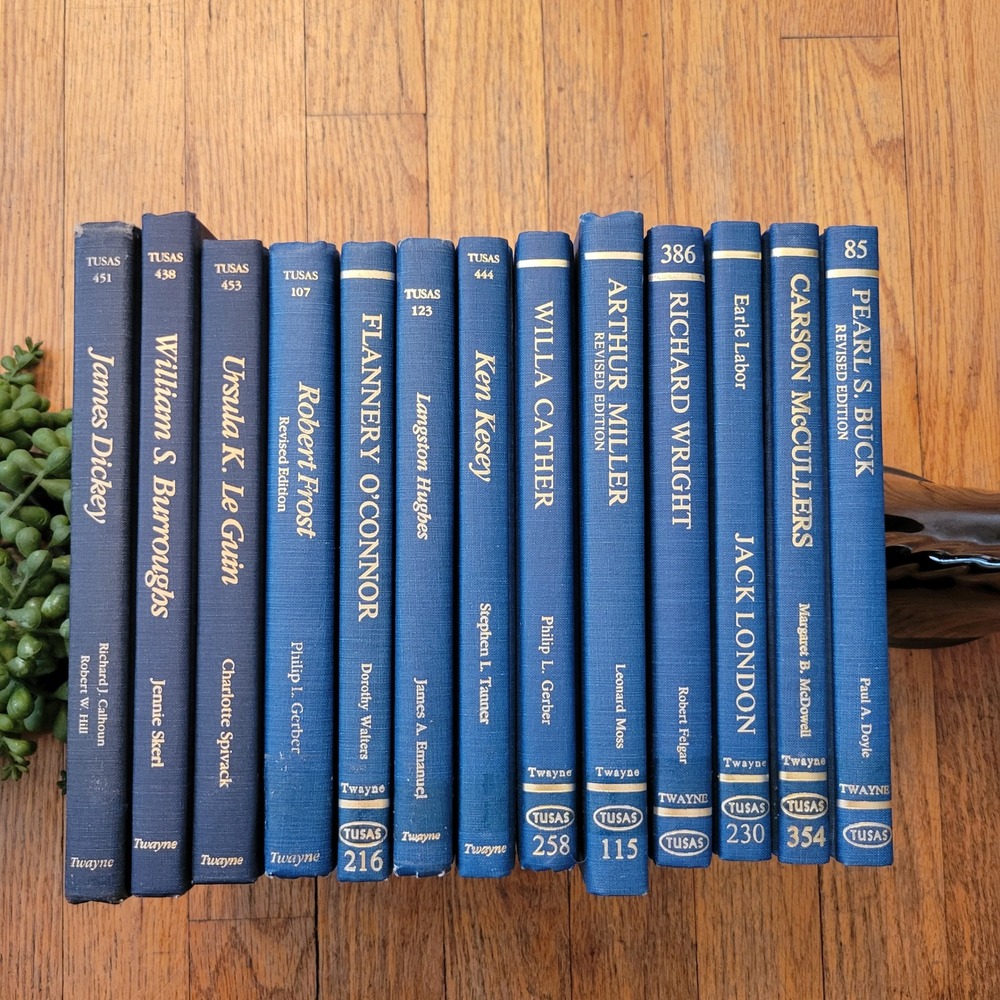 13 Book Set Blue Twaynes United States Authors Series Hardcover Vintage Decor